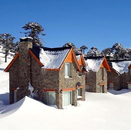 Cabanas Patagonia Village Caviahue Exterior foto
