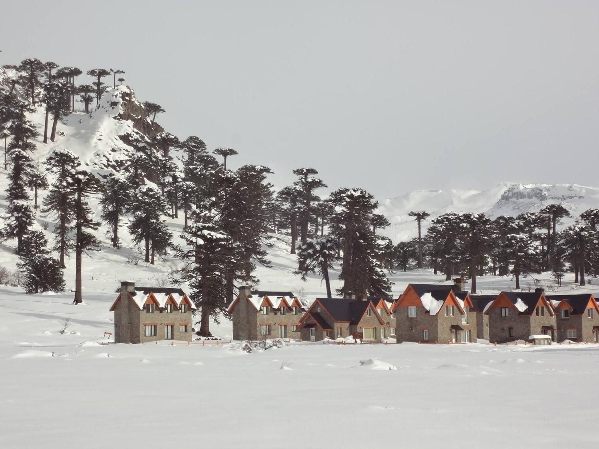 Cabanas Patagonia Village Caviahue Exterior foto